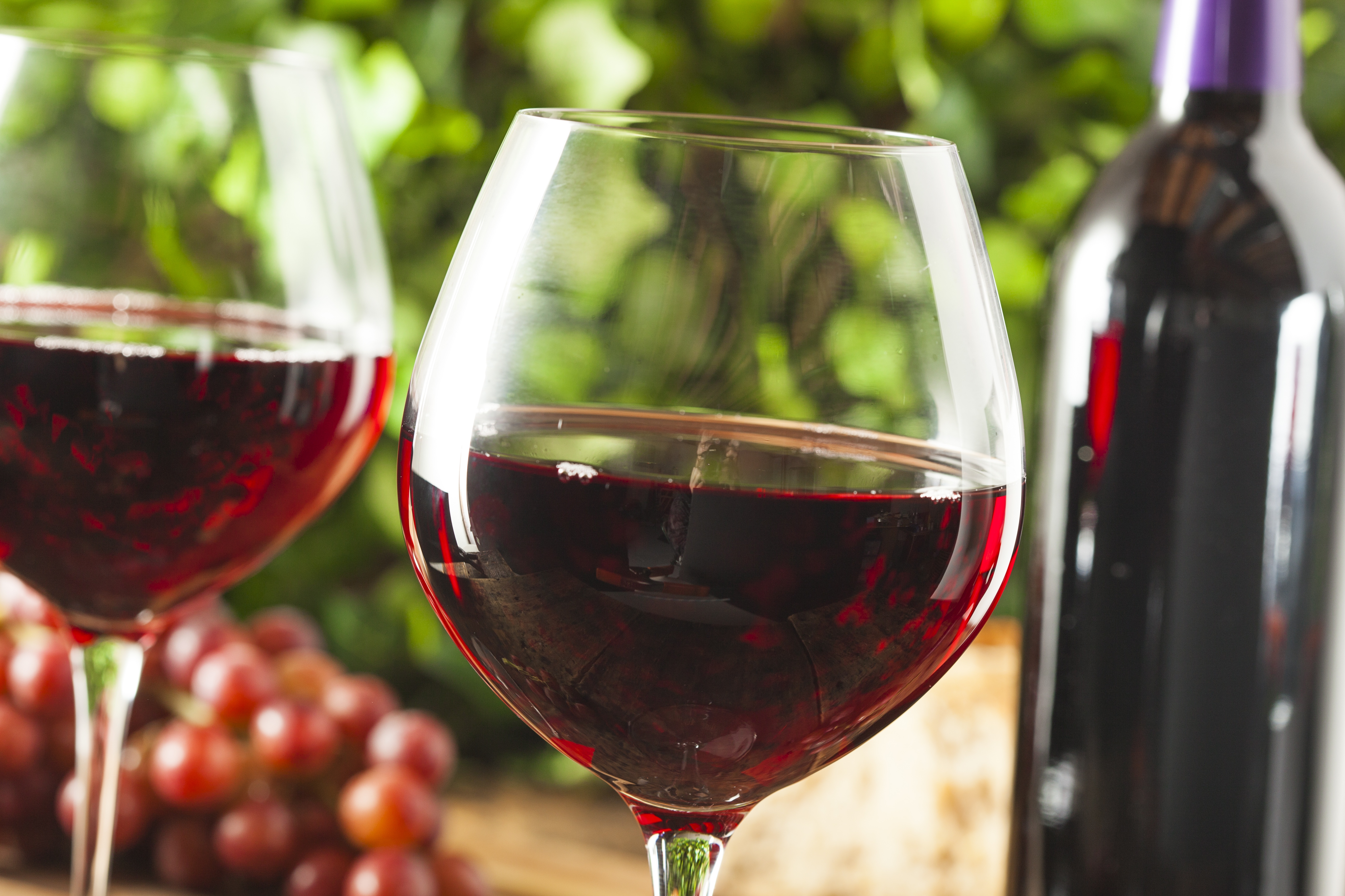 Test Your Tastebuds What to Expect from My Glass of Merlot